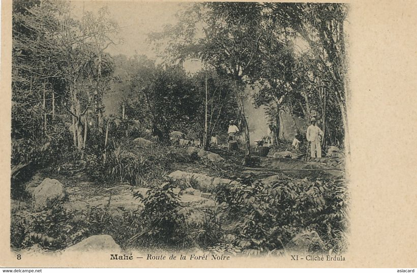 Mahé Route De La Foret Noire Dos Non Divisé Avant 1903 Cliché Erdula - Seychellen