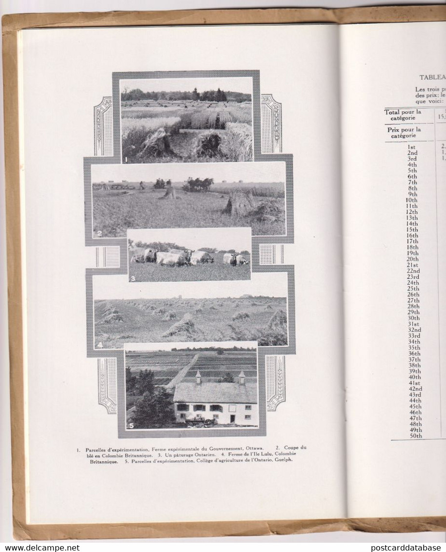 Conférence Et Congrès Mondial Du Grain - Regina, Canada 1932 - 40 Pages - Size 16x25 - & Agriculture - Agriculture