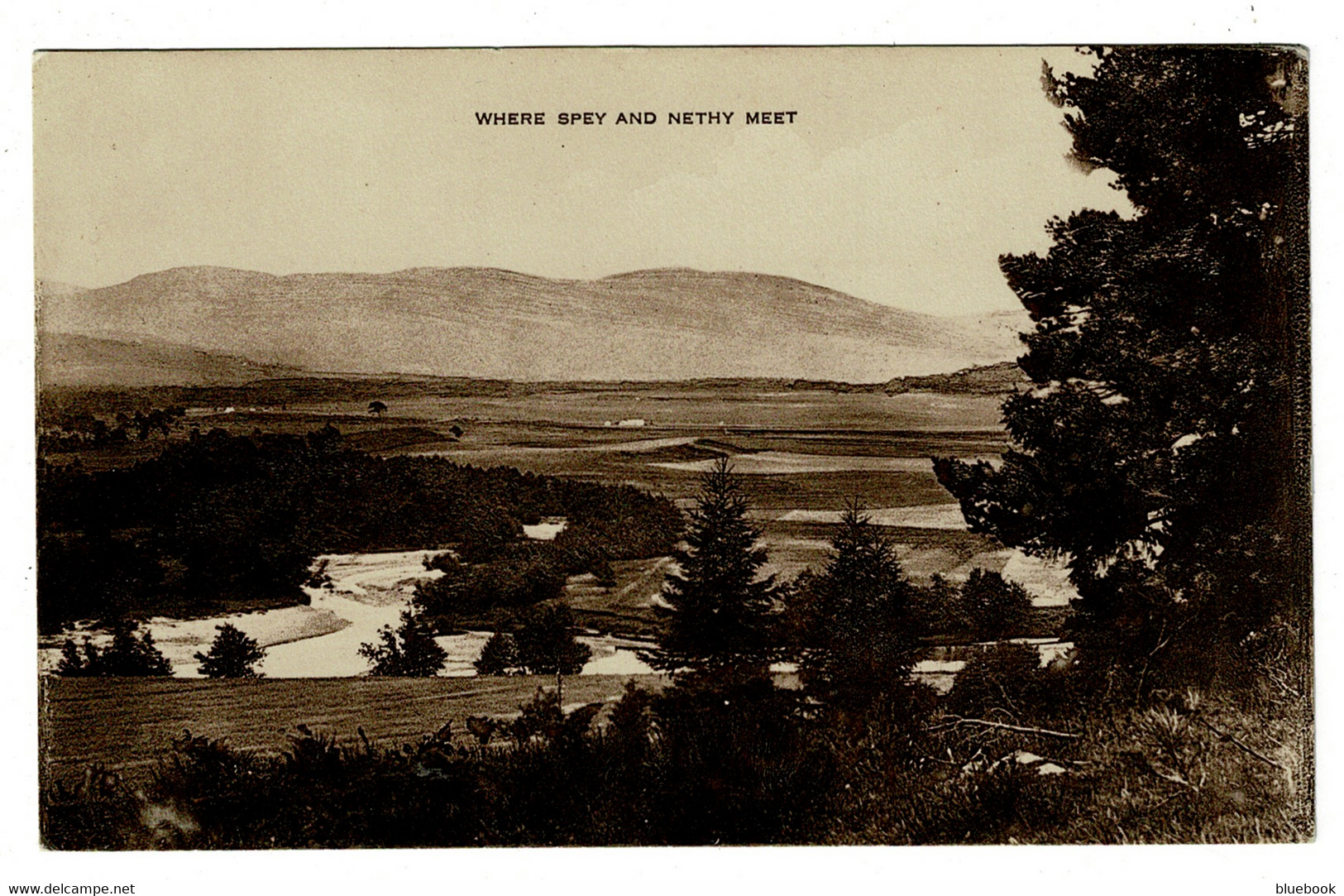 Ref 1462 - Early Postcard - Where The Spey & Nethhy Meet - Strathspey Moray Scotland - Moray