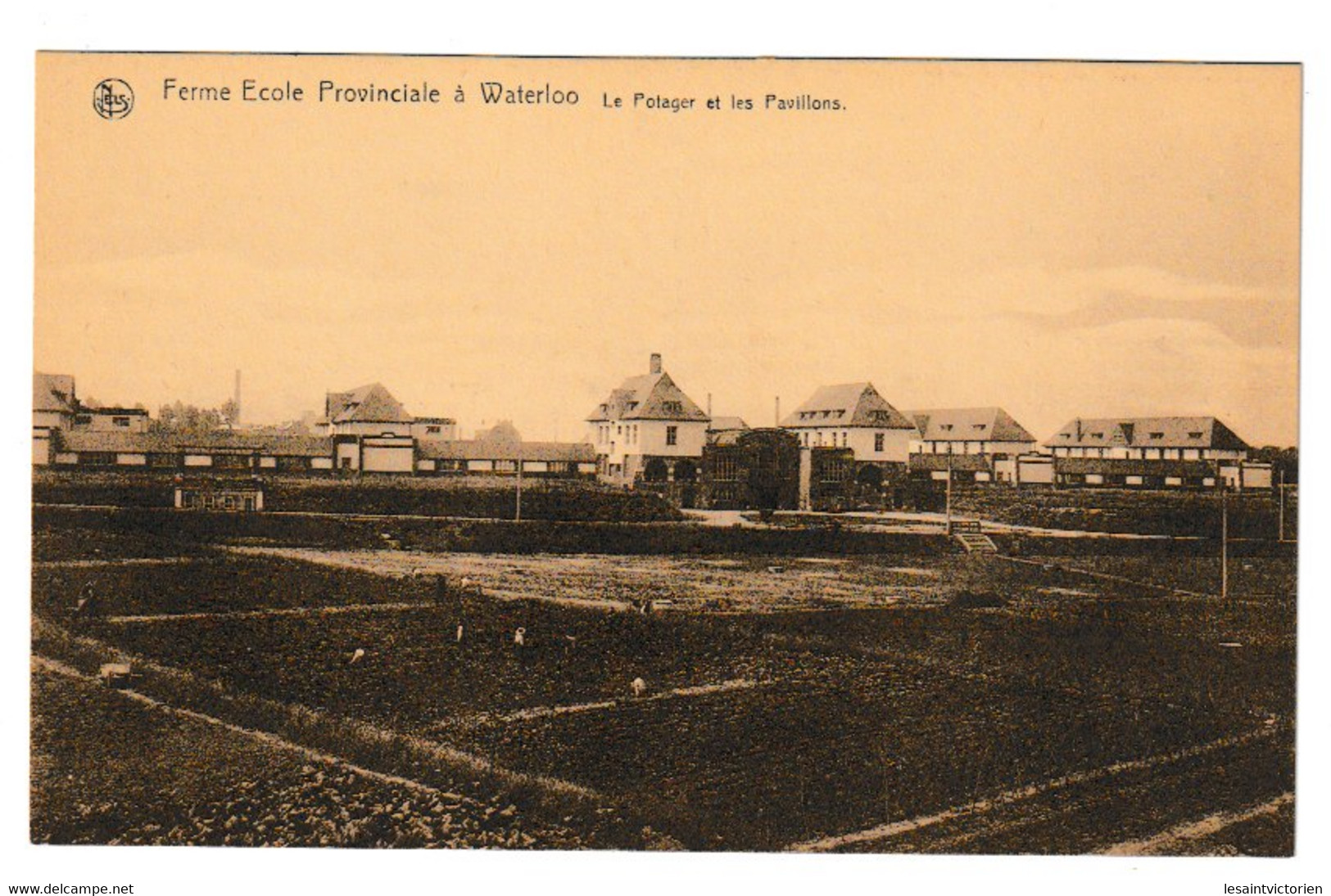 WATERLOO FERME-ECOLE PROVINCIALE POTAGER ET PAVILLONS - Waterloo