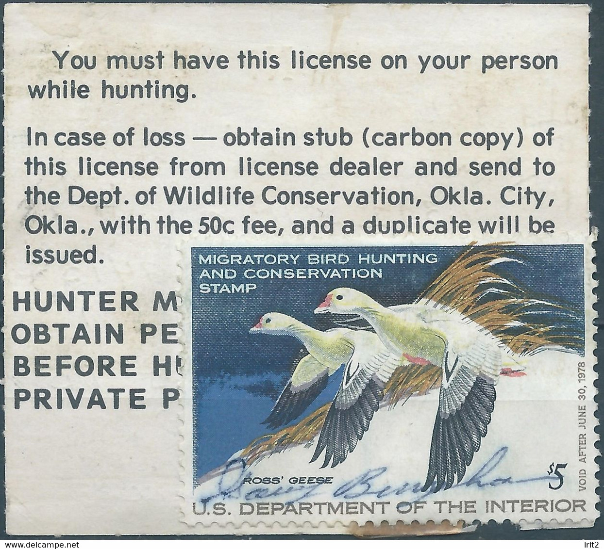 Stati Uniti D'america,United States,U.S.A,1977 Migratory Bird Hunting Stamp $5.00 On The License Card Document - Duck Stamps