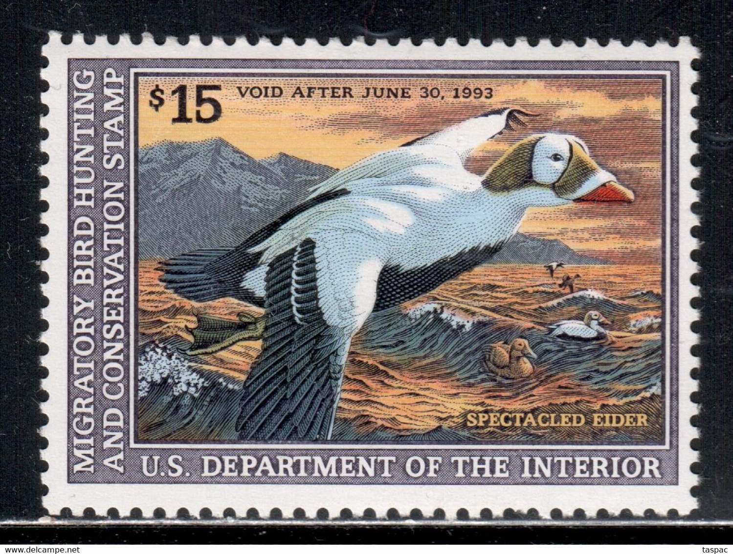 United States 1993 Duck Stamp ** MNH - Spectacled Eider - Duck Stamps