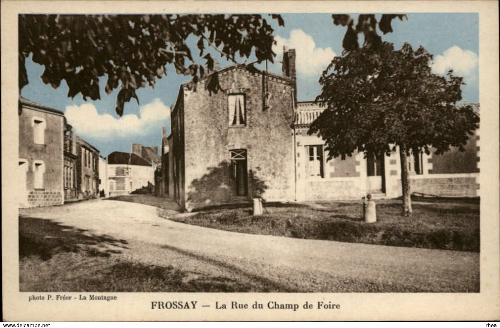 44 - FROSSAY - Rue Du Champ De Foire - Frossay