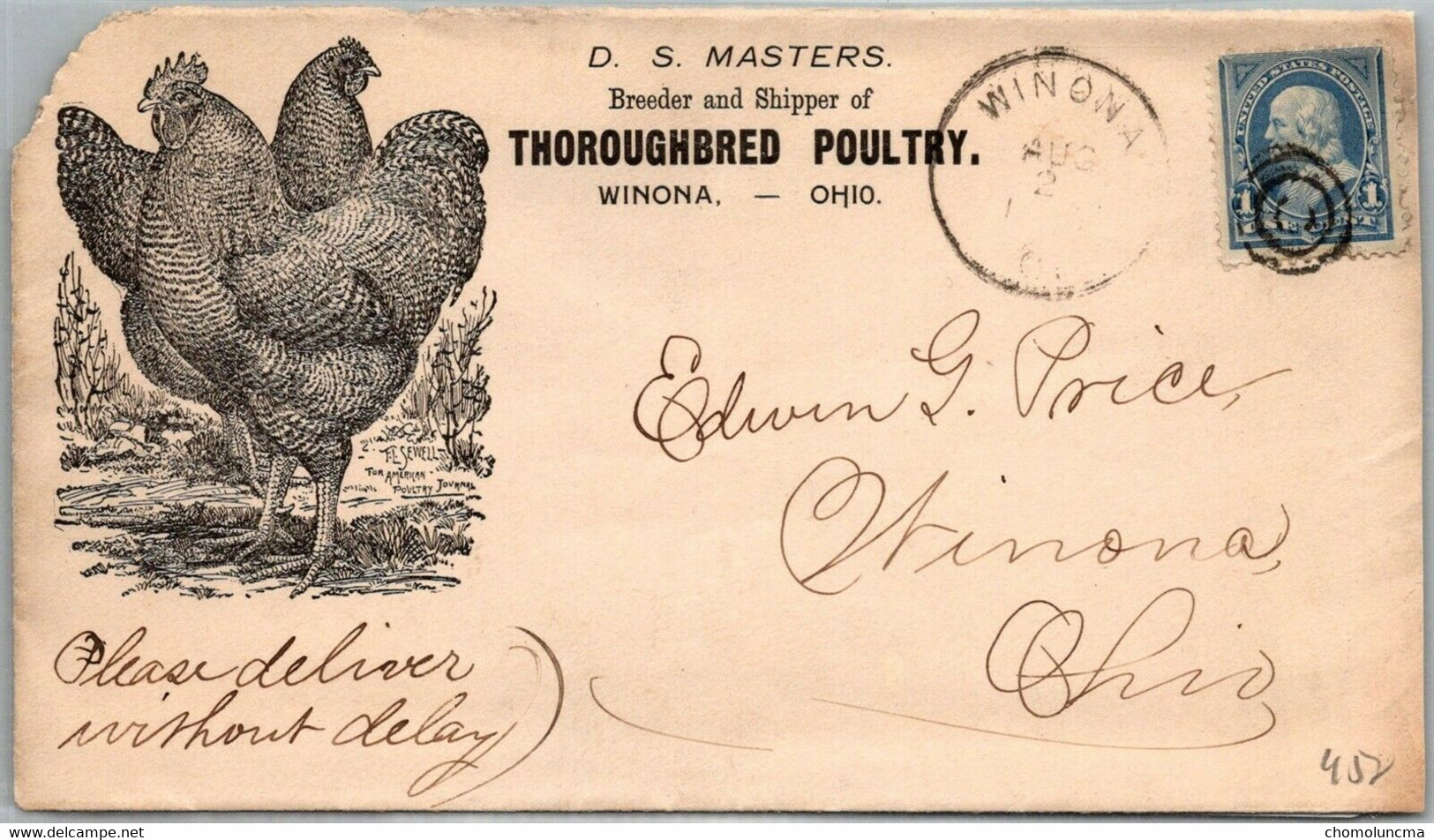 USA Vintage 19 ?? Advertising Envelope Cover Breeder Shipper Thoroughbred Poultry Elevage De Poule Volaille Avicole - Farm