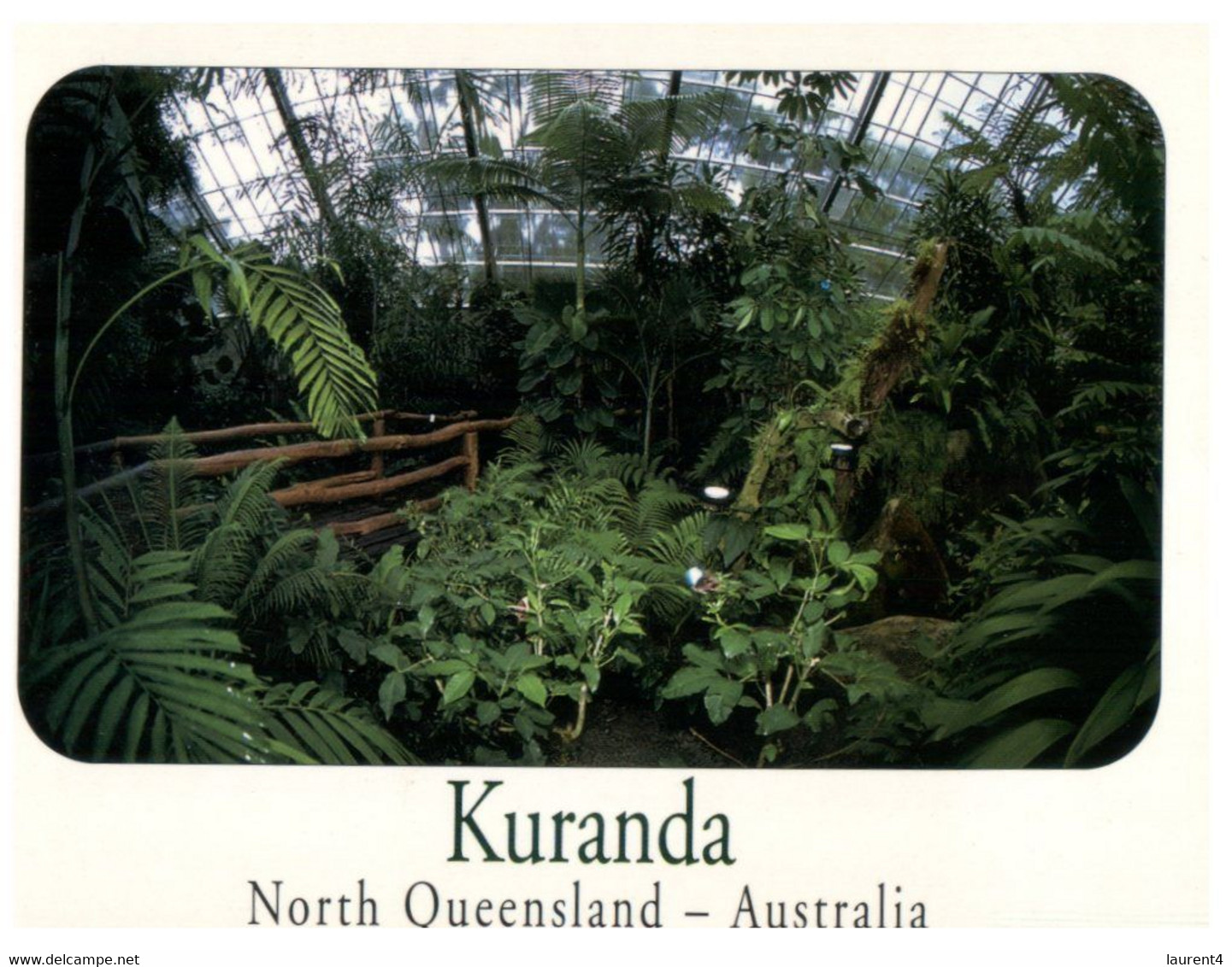 (HH 1) Australia - QLD - Kuranda (near Cairns) - Cairns