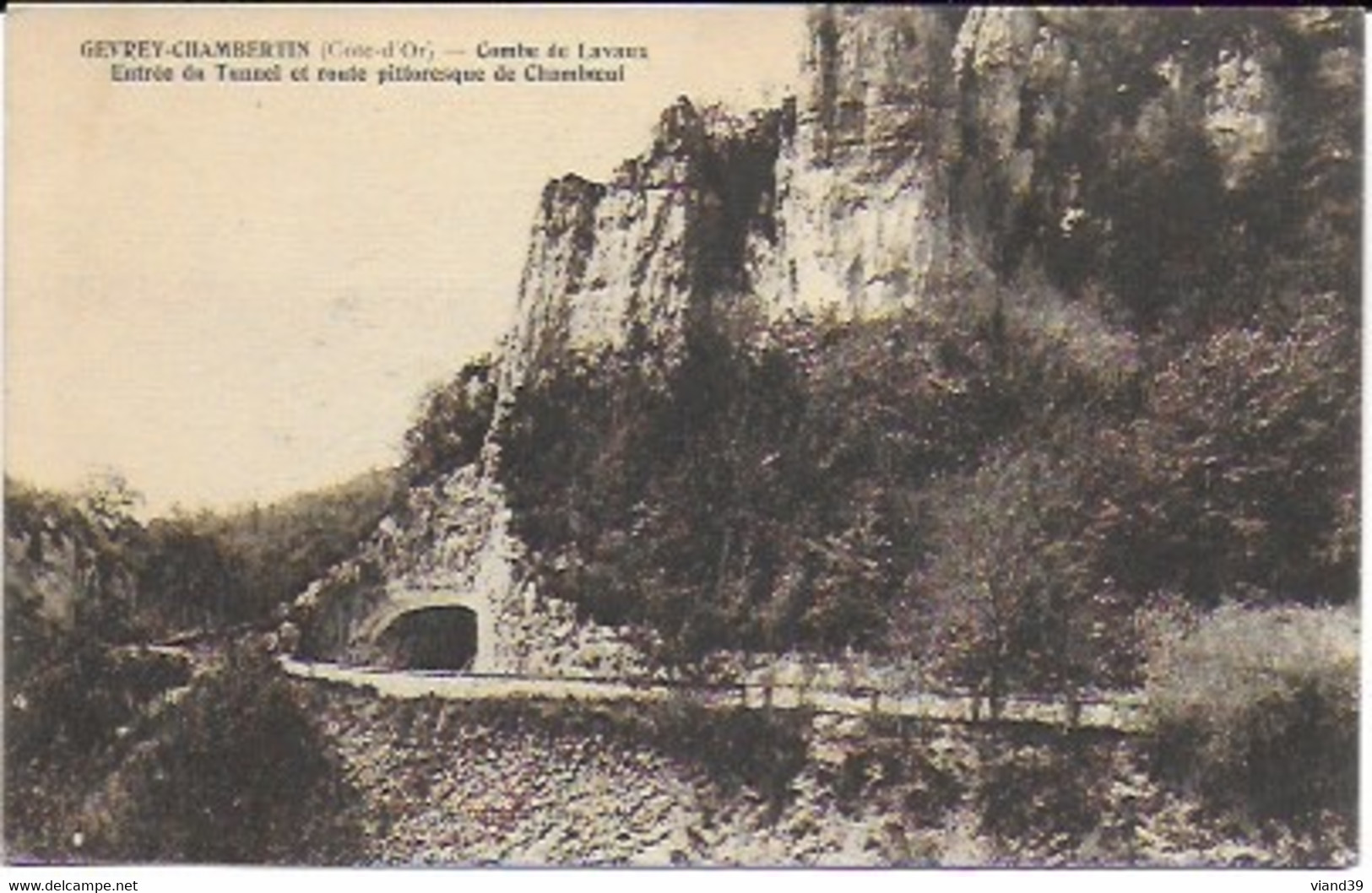 Gevrey Chambertin - Combe De Lavaux : Entrée Du Tunnel Et Route Pittoresque De Chamboeuf - Gevrey Chambertin