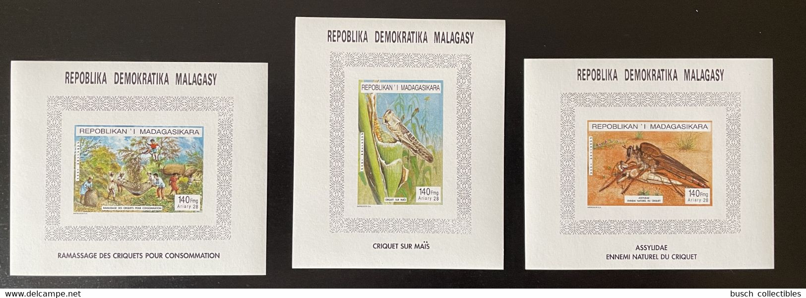 Madagascar Madagaskar 1995 Mi. Bl. A-C264 Insects Insectes Insectes Criquets Heuschrecken Grasshopper Locust Faune Fauna - Autres & Non Classés