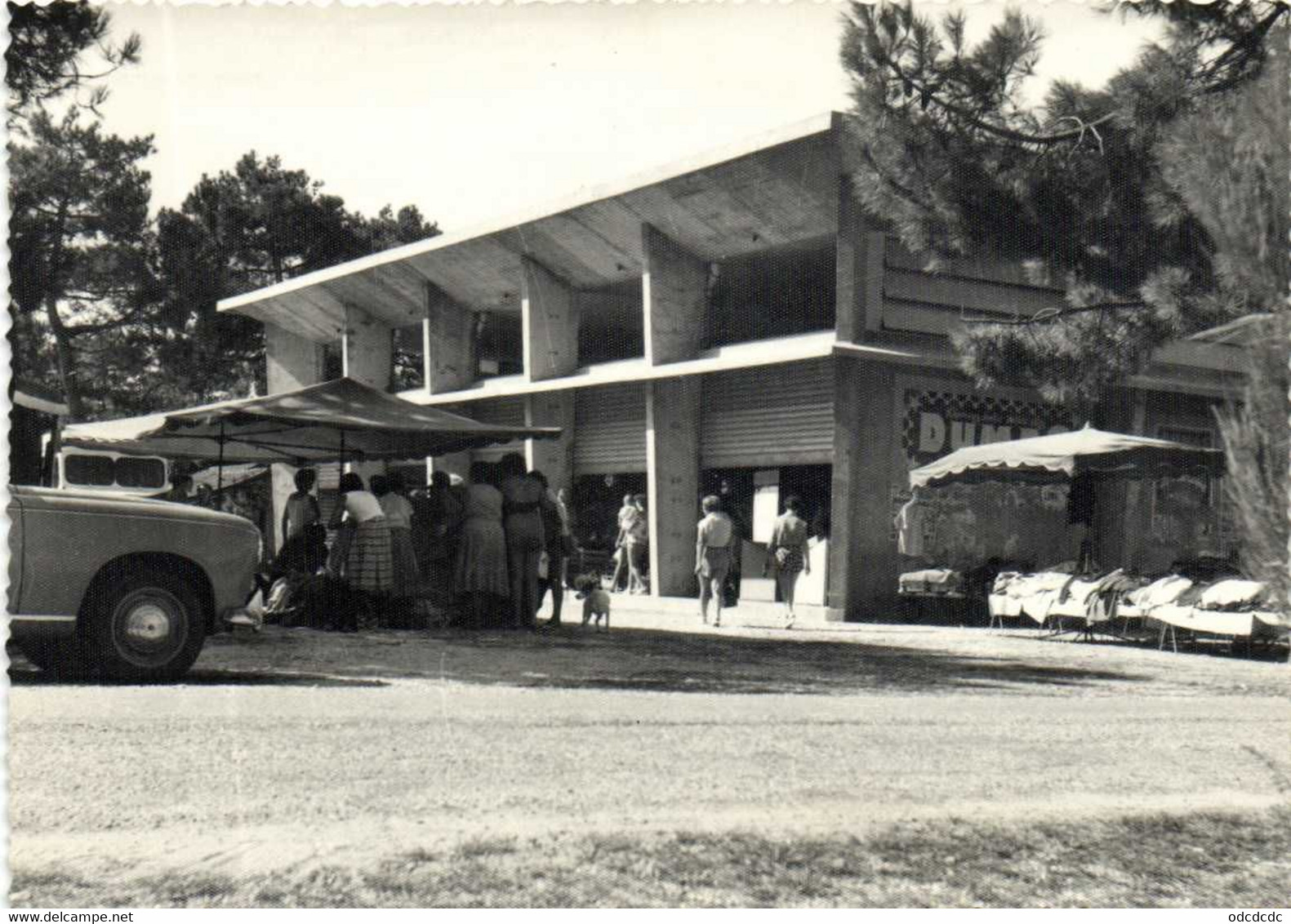 CPSM  Grand Format   VENDAYS  MONTALIVET  (Gironde) Le Marché  RV - Autres & Non Classés