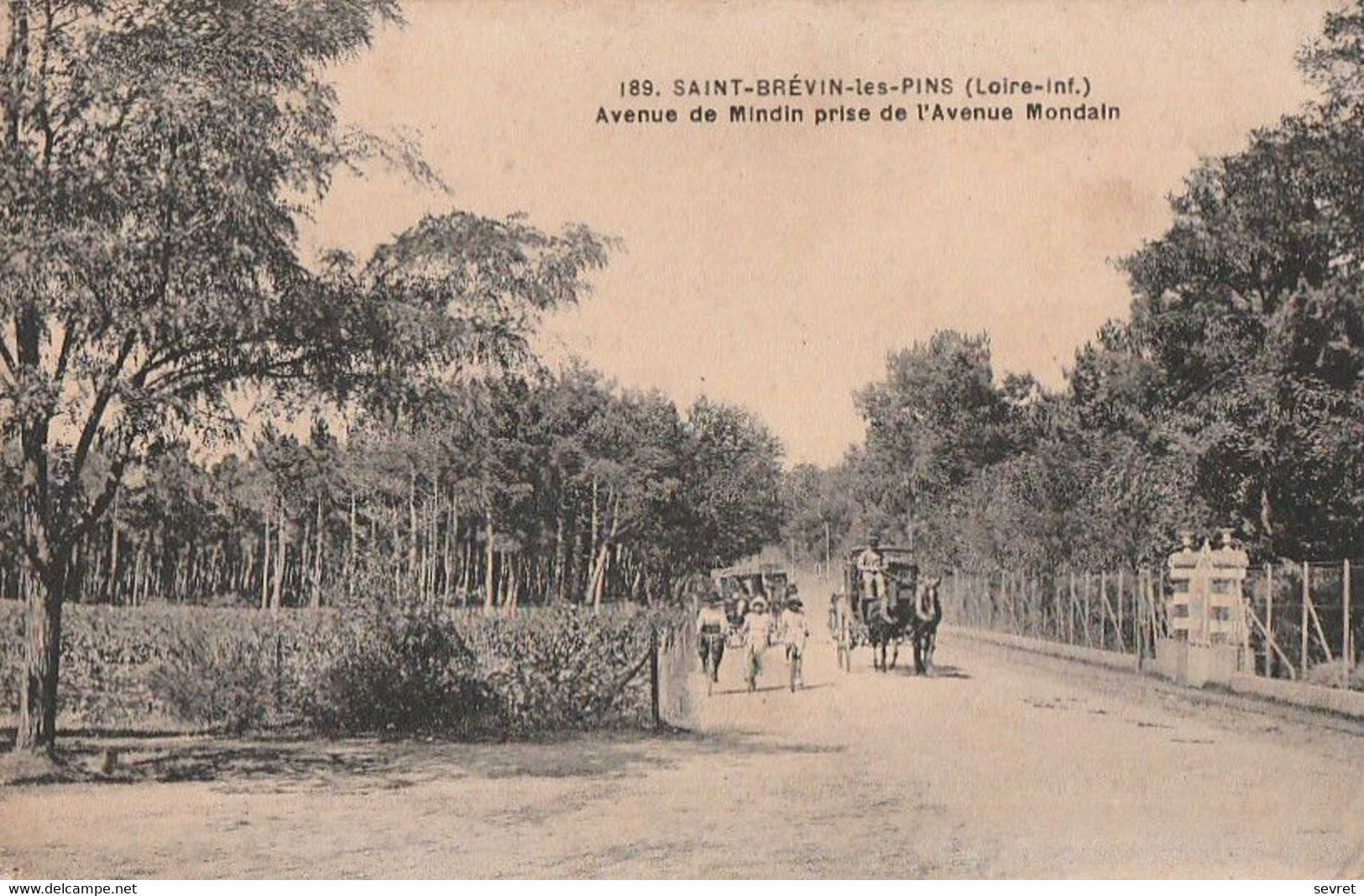 SAINT-BREVIN-les-PINS. - Avenue De Mindin Prise De Mondain - Saint-Brevin-les-Pins