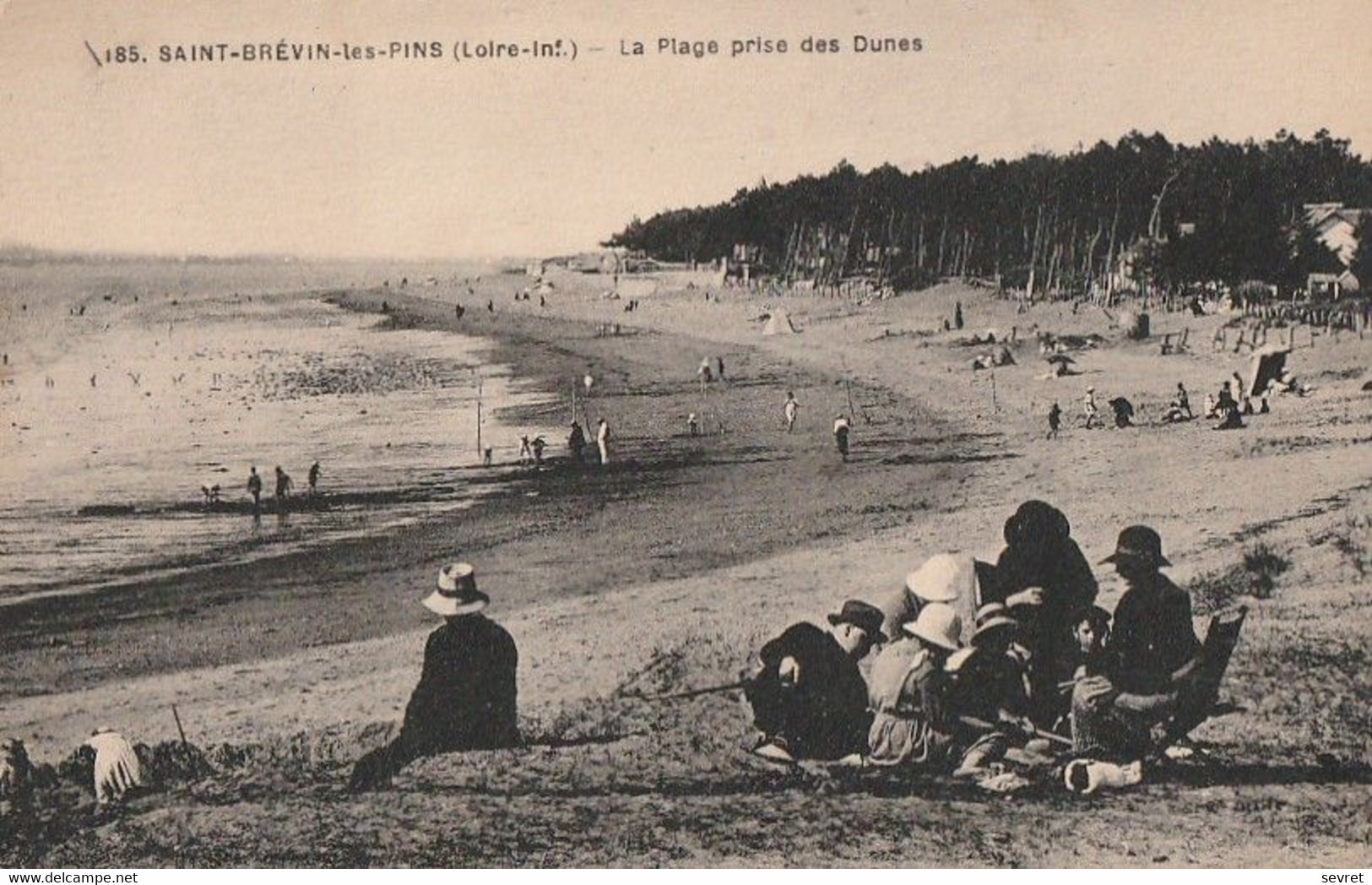 SAINT-BREVIN-les-PINS. - La Plage Prise Des Dunes - Saint-Brevin-les-Pins