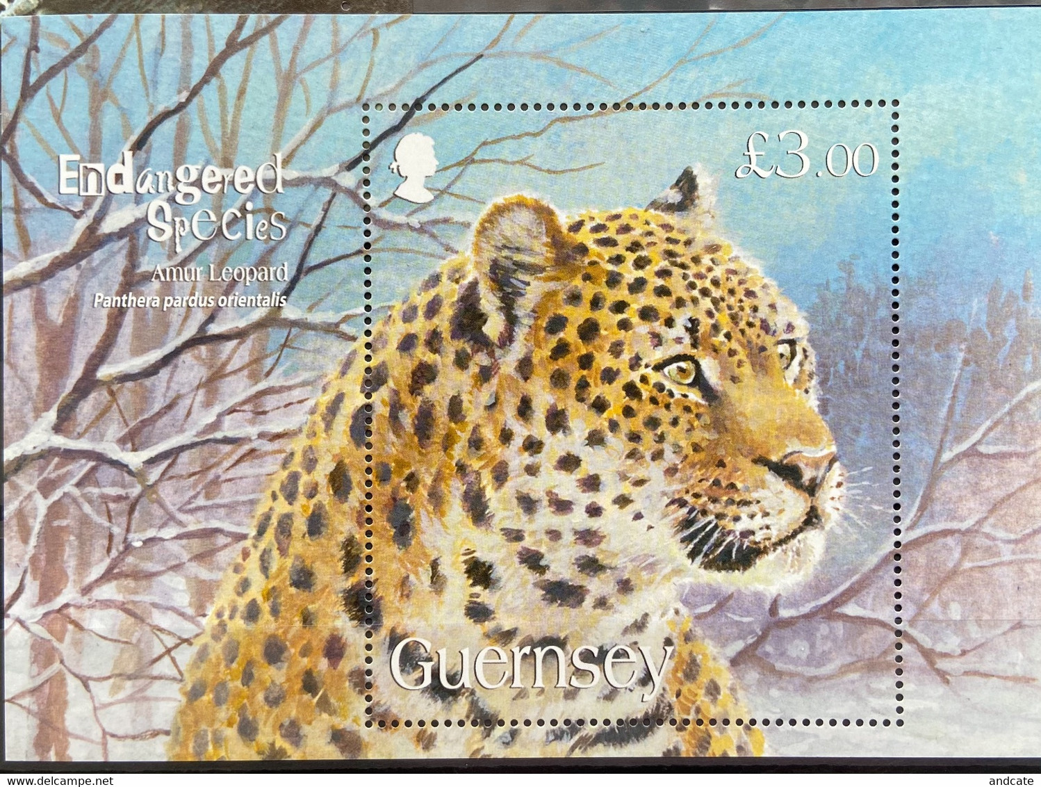 Guernsey 2009 MNH - Endangered Species Amur Leopard - Guernesey