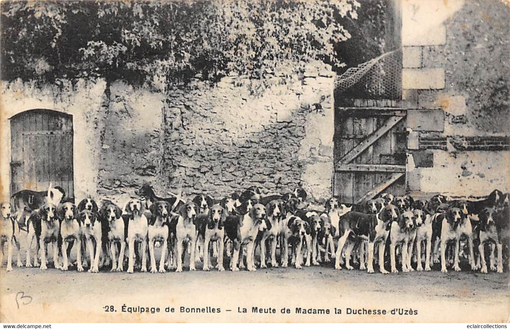 Rambouillet      78      Chasse A Courre. Equipage Bonnelles .La Meute De Mme  Duchesse D'Uzès     (voir Scan) - Rambouillet