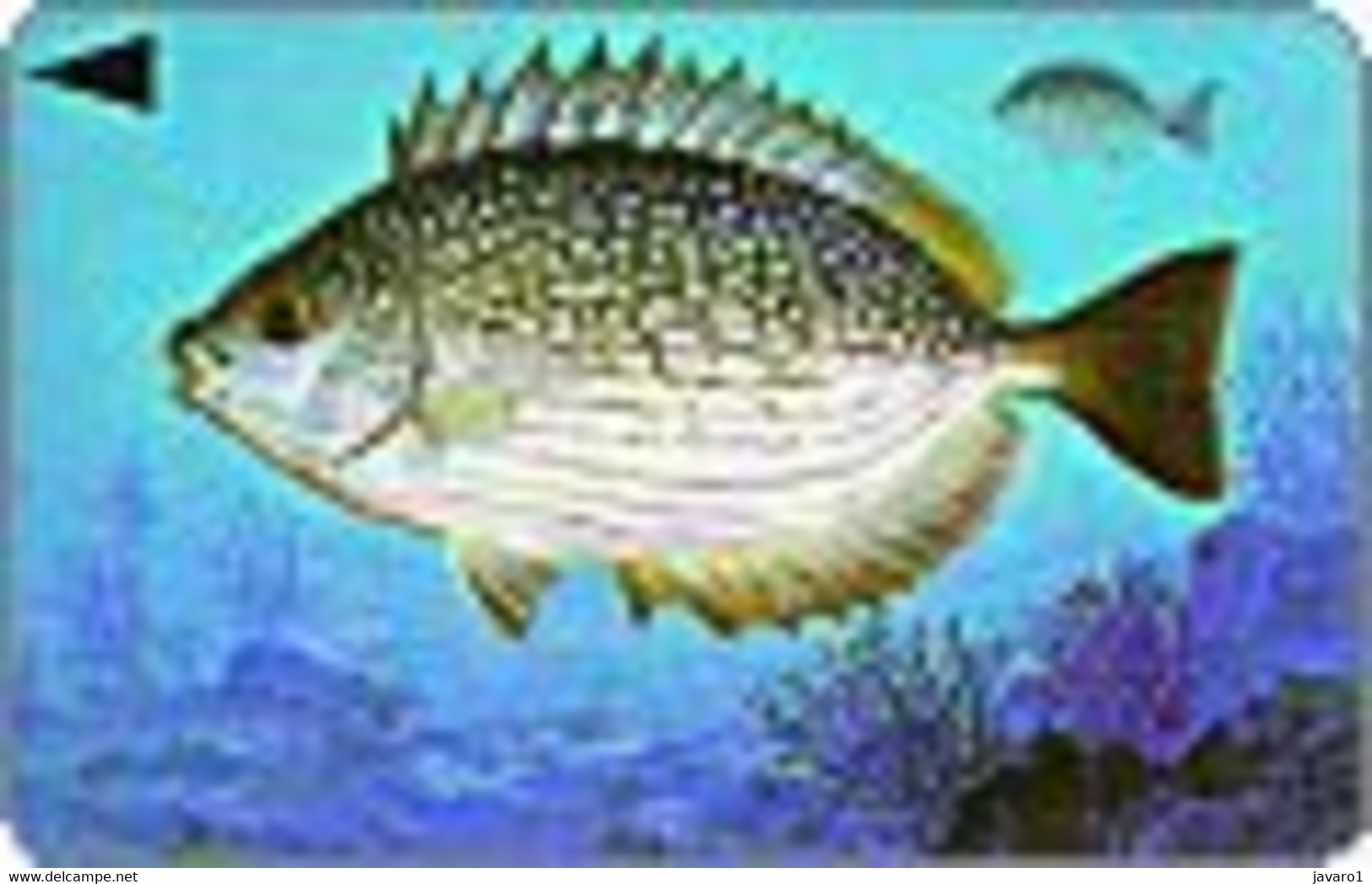 BAHREIN : BHN068A 25 Streaked Rabbitfish Slashe USED - Bahrain