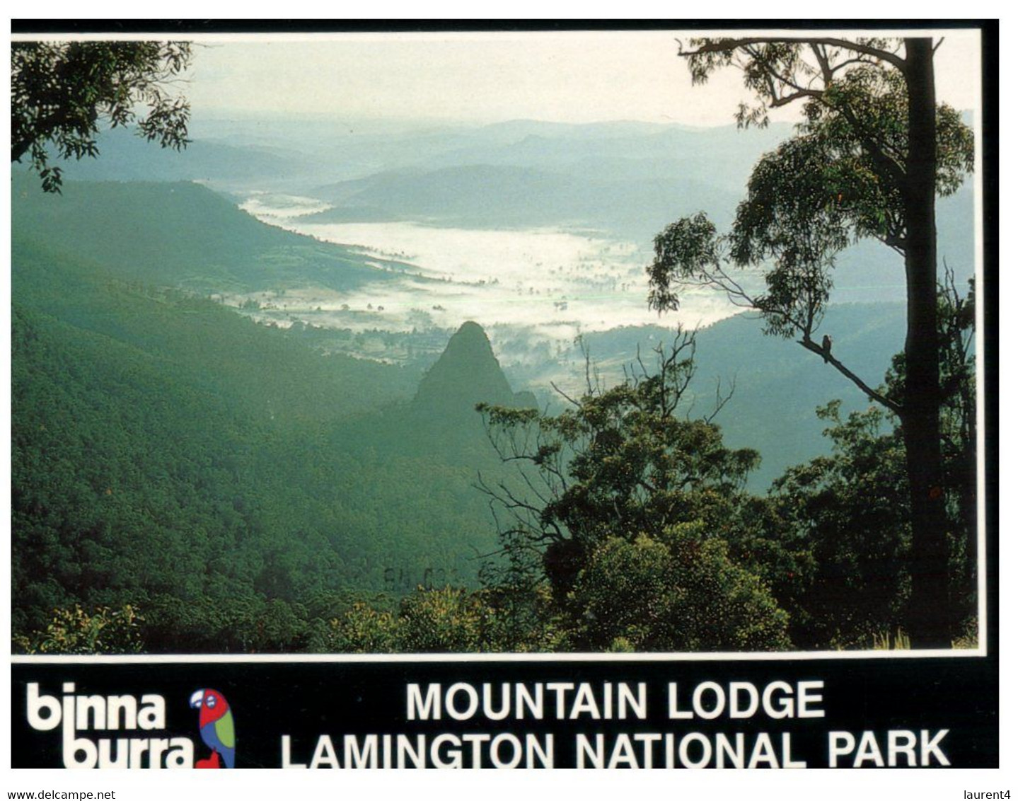 (HH 19) Australia - QLD - Lamington National Park  (written 1993 With Stamp) - Atherton Tablelands