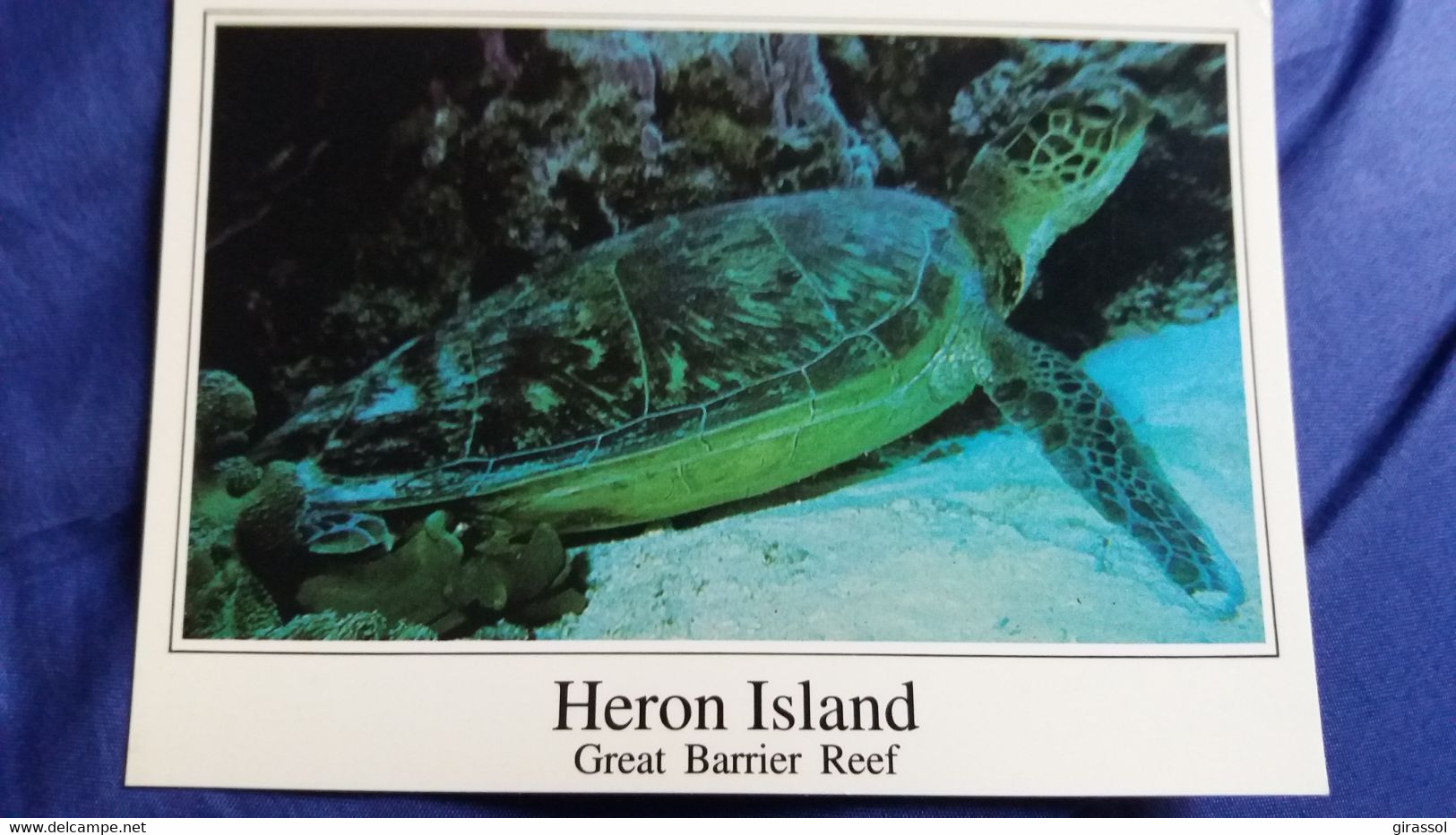 CPM TORTUE MARINE HERON ISLAND GREAT BARRIER REEF BARRIERE DE CORAIL ED NU COLOR VUE - Tortues