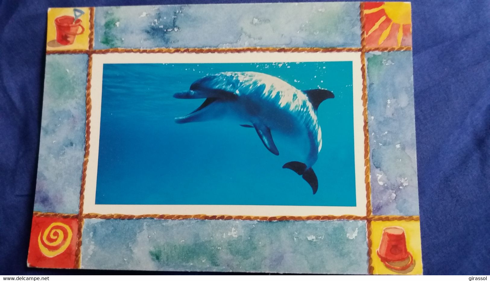 CPM  DAUPHIN PHOTO VISA ED COMBIER  BLEU CIEL - Dolphins