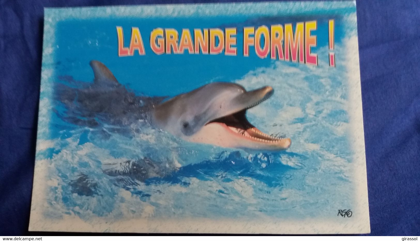 CPM  DAUPHIN LA GRANDE FORME  RGO CREATIONS  EDY - Dauphins