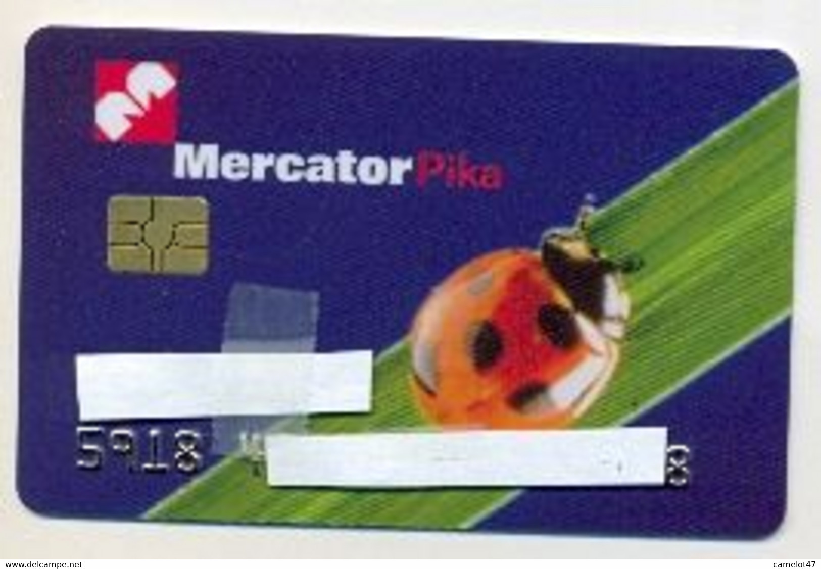 Carte â Puce Mercator, Pika, # Varios-160 - Otros & Sin Clasificación