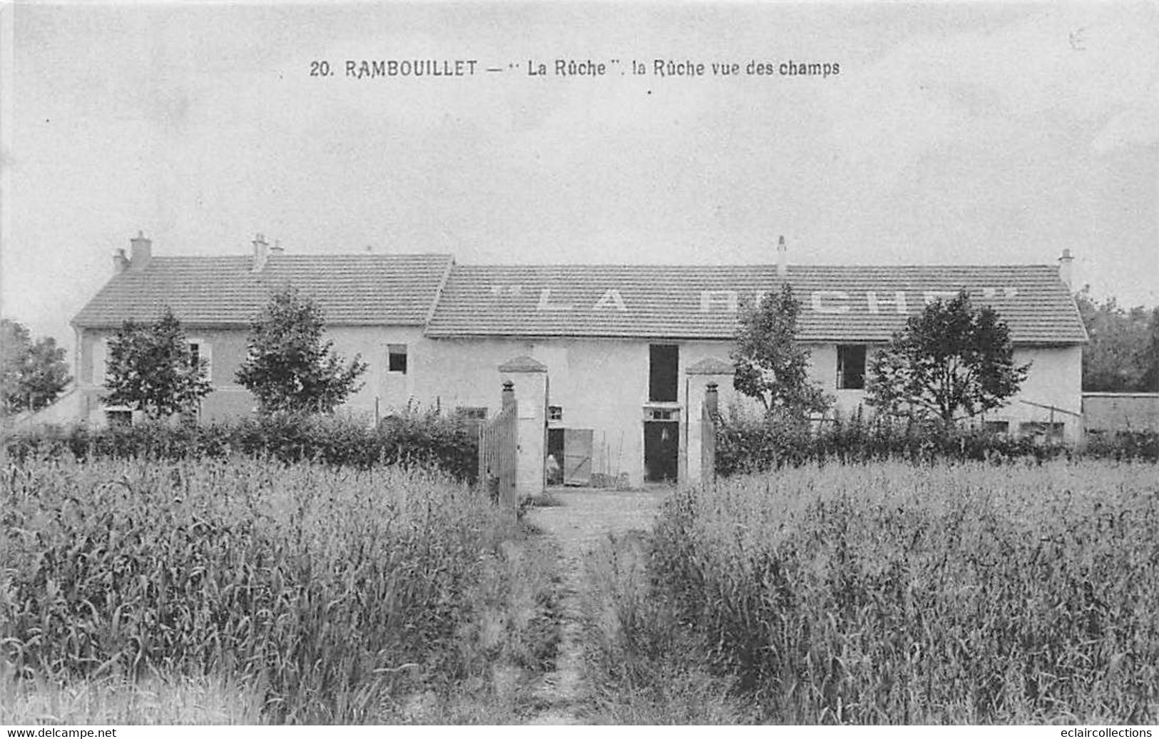 Rambouillet         78           La Ruche. Vue Des Champs           (voir Scan) - Rambouillet