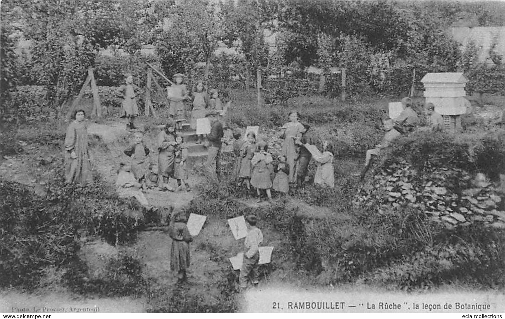 Rambouillet         78           La Ruche.  Leçon De Botanique             (voir Scan) - Rambouillet