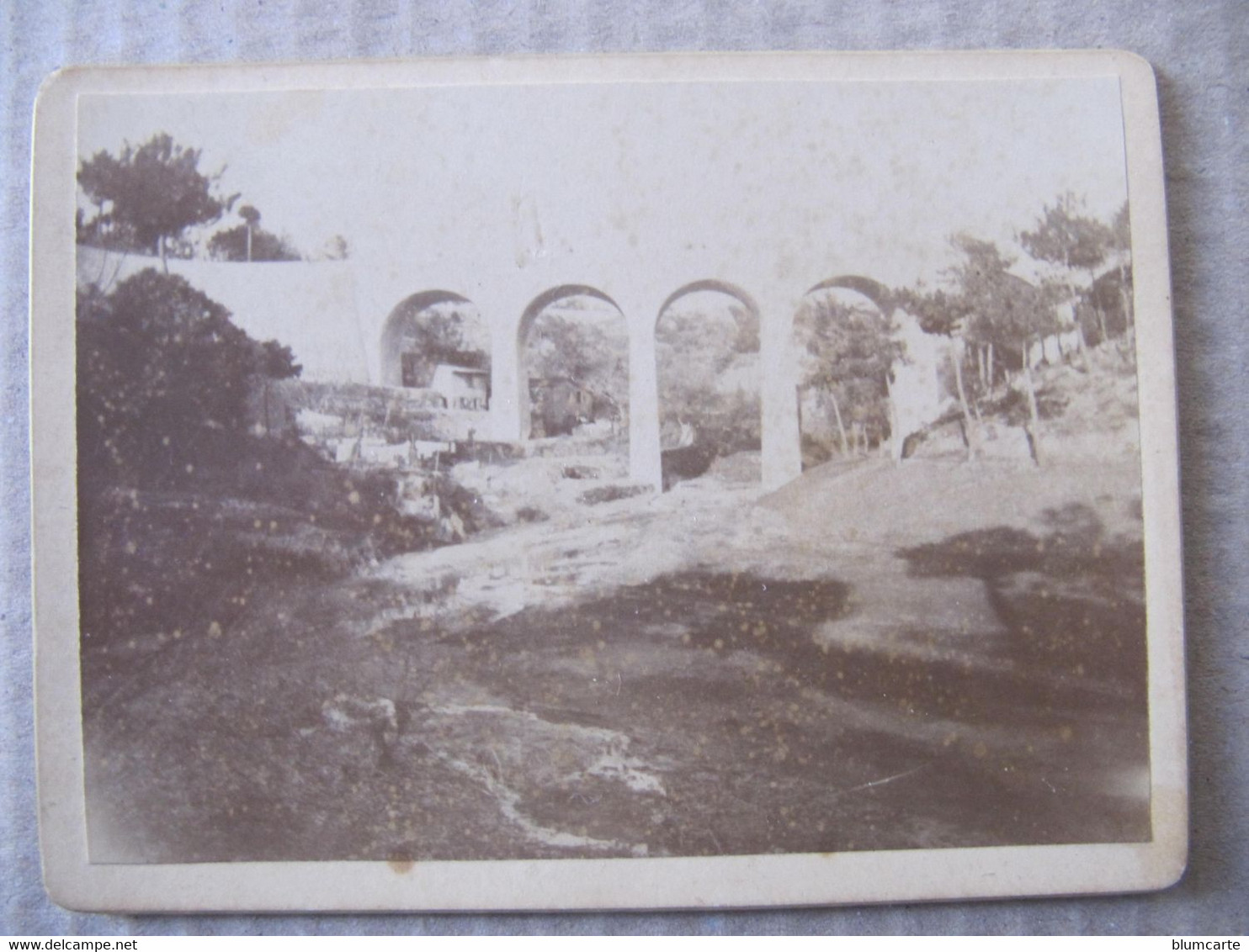 Photo Cartonnée -  CANNES - PONT SAINT VICTOR SUR LE RIOU - Places