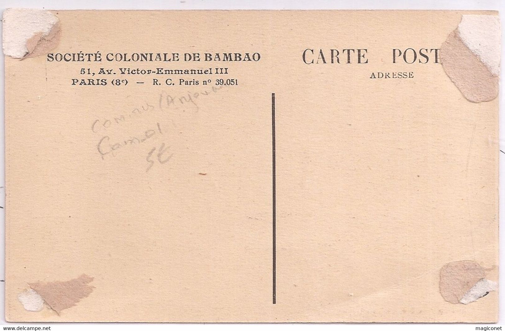 CPA - Société Coloniale De Bambao - Moheli - Un Baobab - Domaine De Fomboni - Comoros