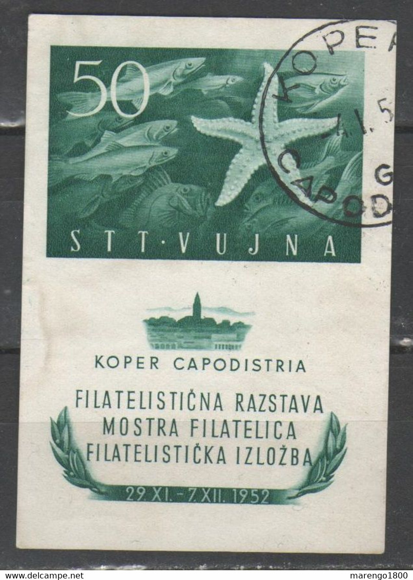 Trieste B - STT Vujna 1952 - Mostra Filatelica Bf          (g7277) - Usados