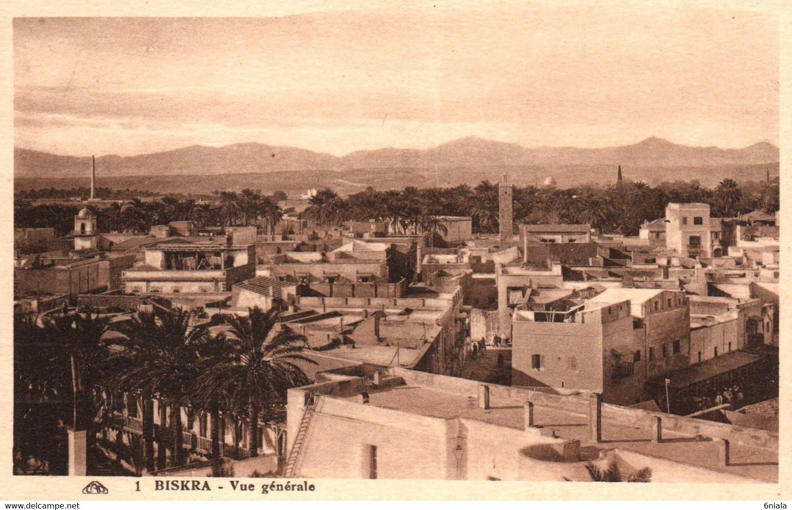 6373 CPA    BISKRA   VUE GENERALE            (scan Recto-verso)  Algérie - Biskra