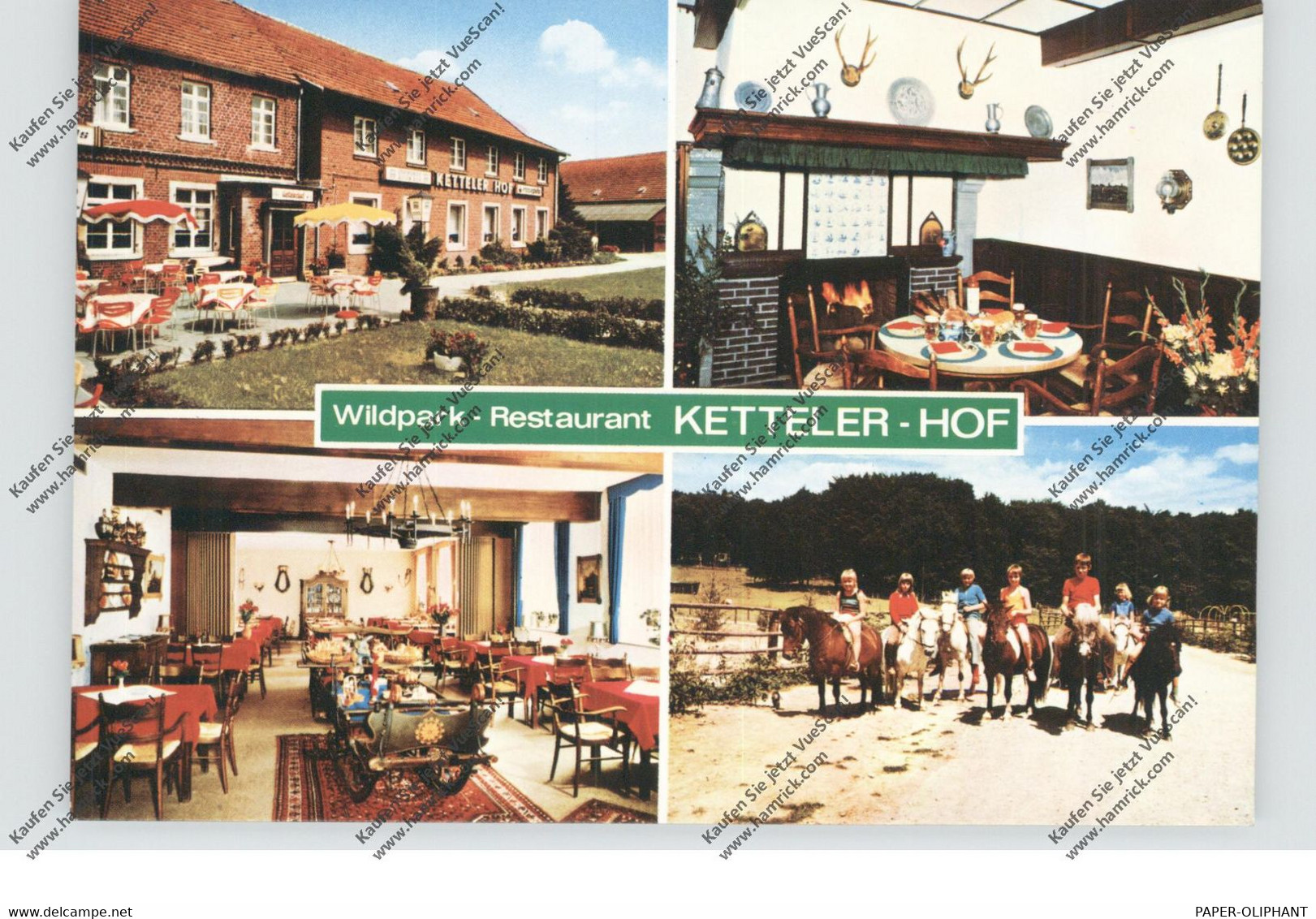 4358 HALTERN - LAVESUM, Ketteler Hof, Pferde - Haltern