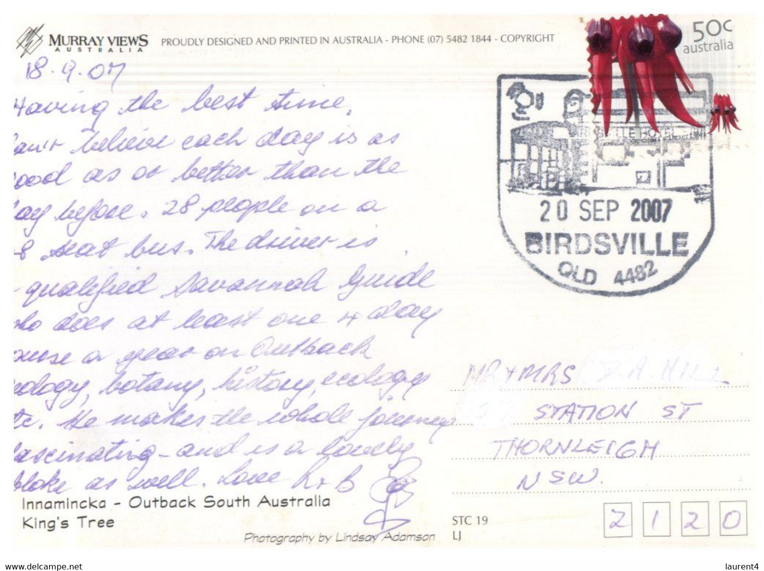 (HH 13) Australia  - SA - Innamincka King's Tree (with Stamp) With QLD Birdsville Postmark - Autres & Non Classés