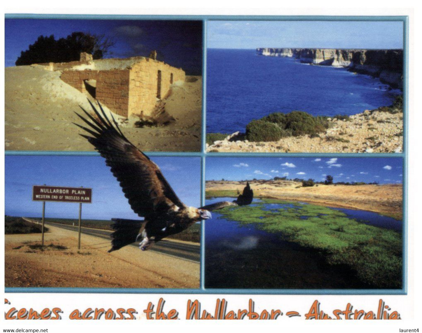 (HH 13) Australia  - SA - Nullabor (with Eagle) (with Stamp) - Andere & Zonder Classificatie