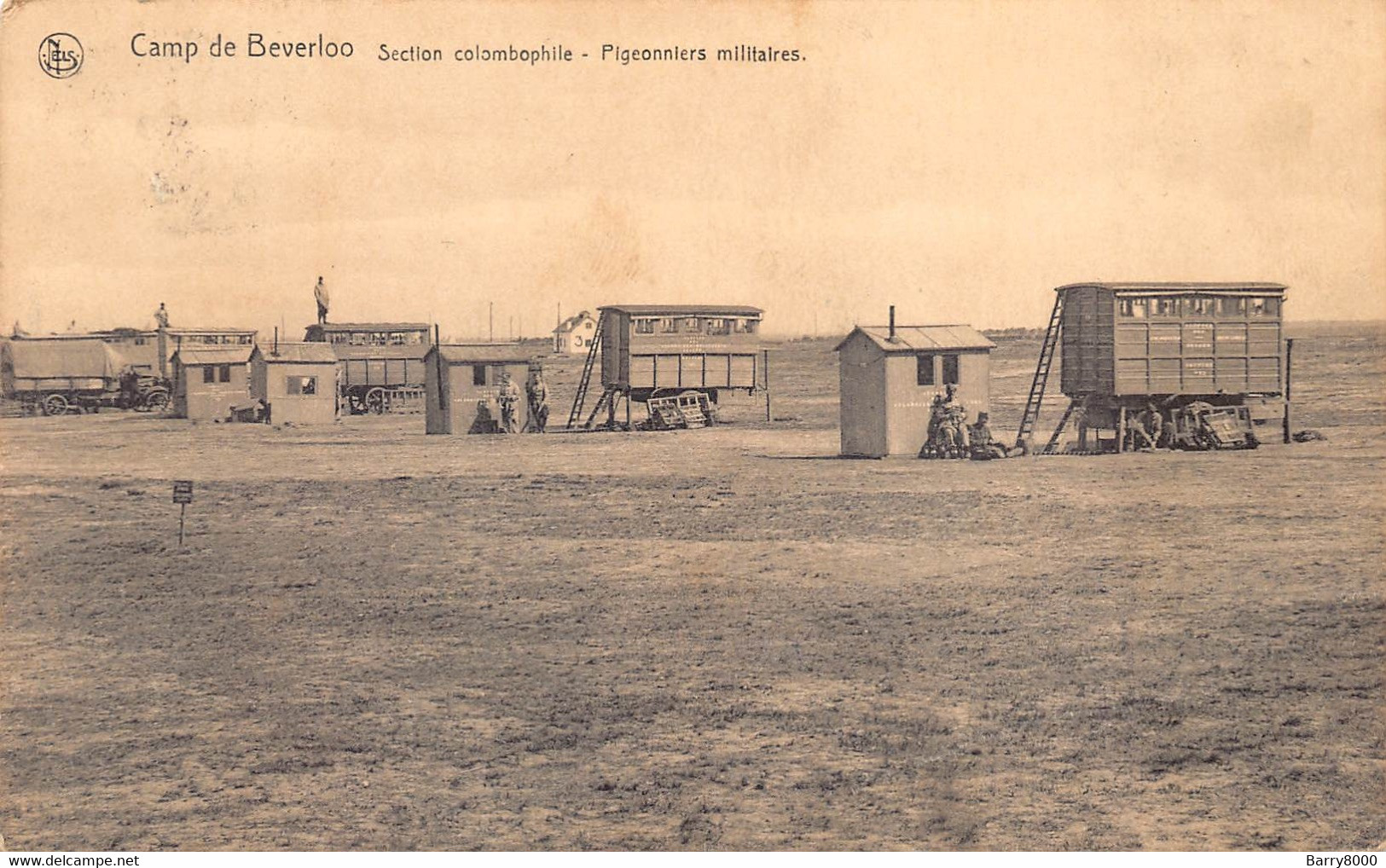 BOURG LEOPOLD « Le Camp De BEVERLO0 - Section Colombophile - Pigeonniers Militaires Leopoldsburg Duiven Barry 7954 - Leopoldsburg (Camp De Beverloo)