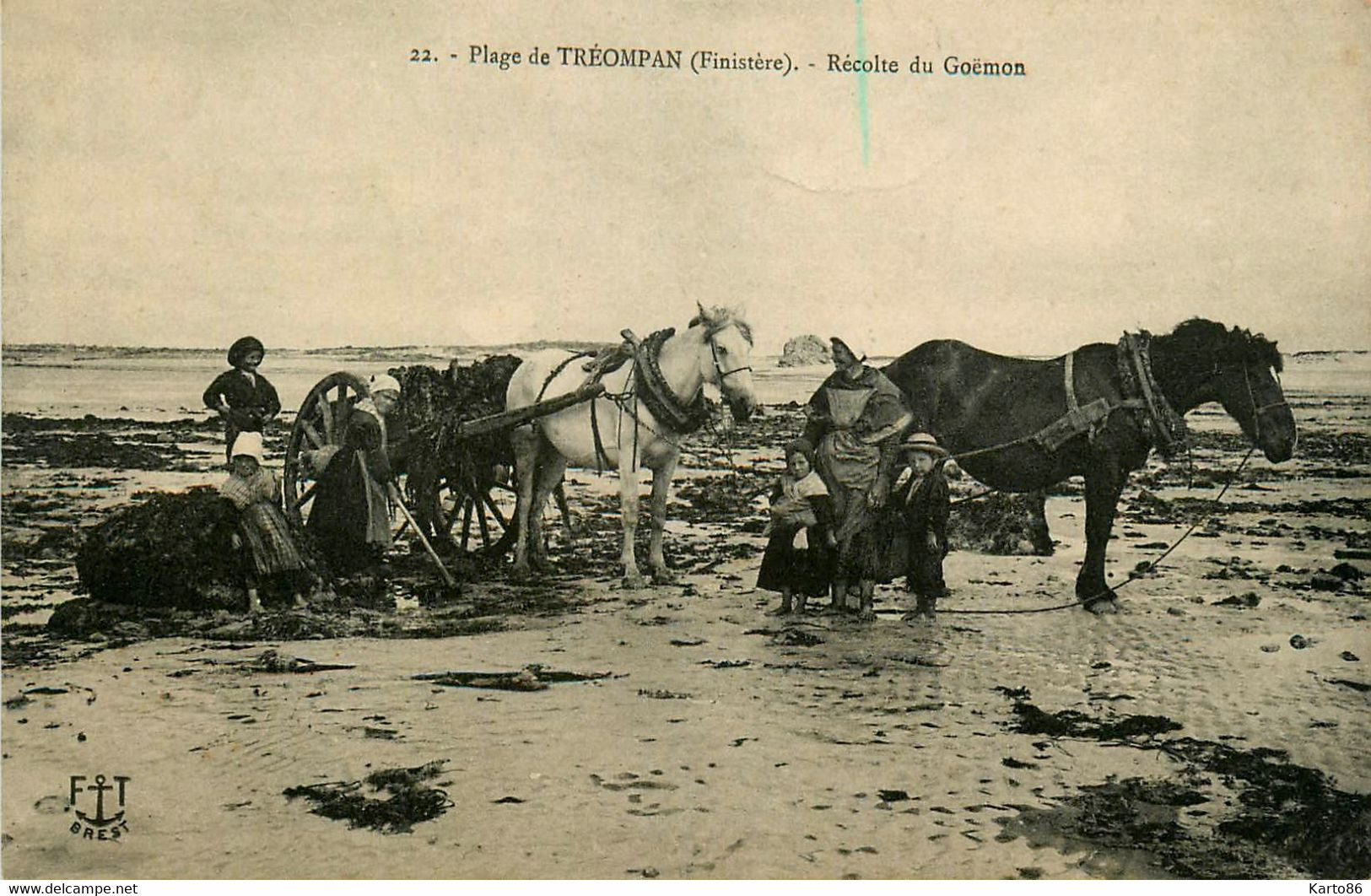 Ploudalmézeau * La Plage De Tréompan * La Récolte Du Goëmon * Attelage - Ploudalmézeau