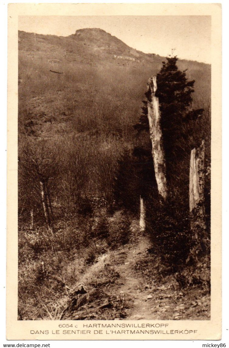 Près Cernay -- HARTMANNSWILLERKOPF-- Vieil Armand--Dans Le Sentier..............à Saisir - Cernay