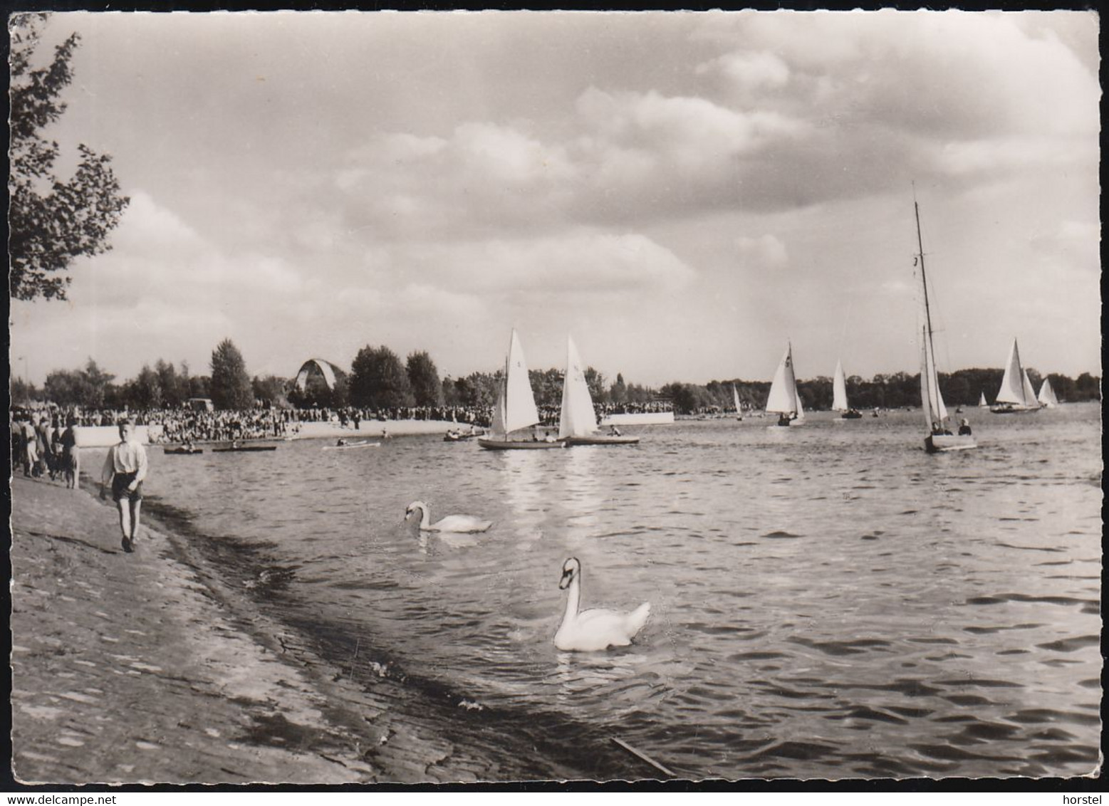 D-13405  Berlin - Tegel - Tegeler See - Promenade - Segelboote - Schwäne ( 60er Jahre) - Echt Foto - Tegel