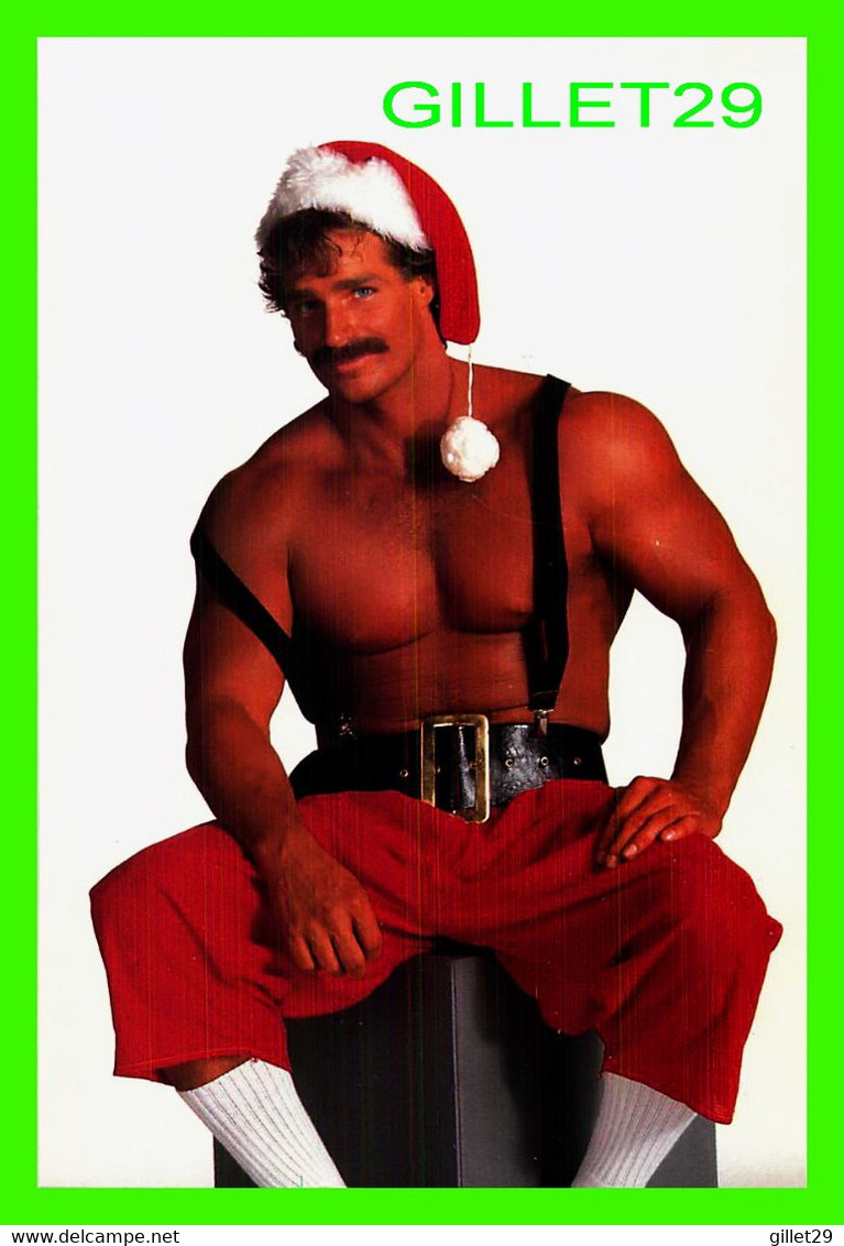 PIN-UPS, MAN - HOT BUDS, U.S.A. FOR CHRISTMAS -  1987 GEE WHIZ - - Pin-Ups