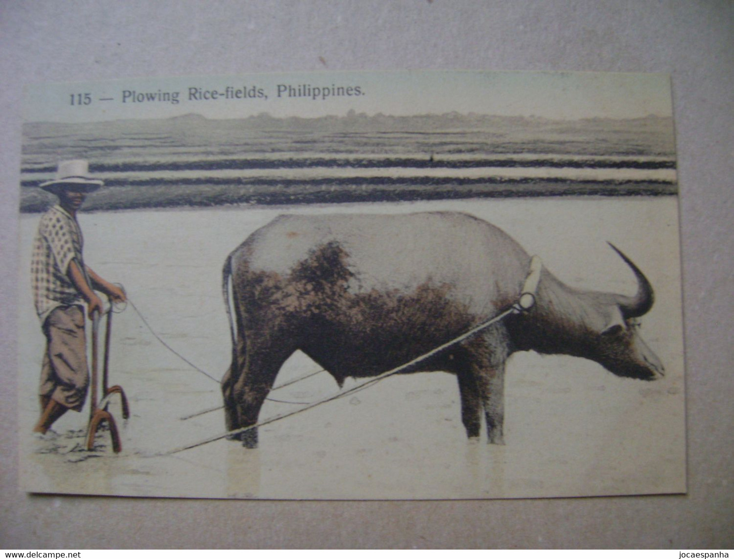 PHILIPPINES - OLD POSTCARD IN THE STATE - Philippines