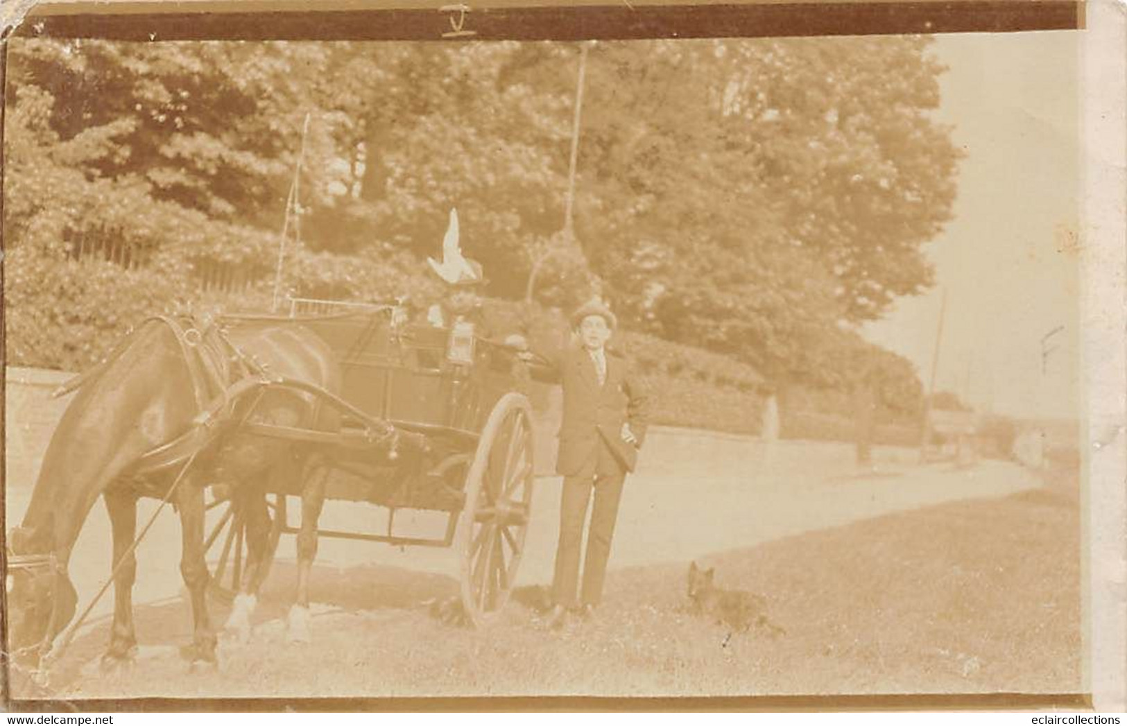 St Germain En Laye          78         Un Couple, Charrette A Cheval, Un Chien  Carte Photo D'amateur .  (voir Scan) - St. Germain En Laye