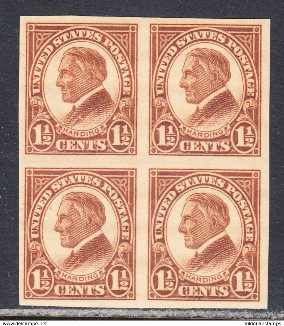 USA 1923 Mint Mounted, Imperf, Block, Sc# 576 - Usados