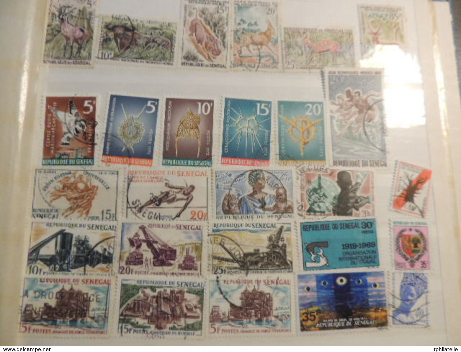 DESTOCK petit classeur bleu timbres du maroc tunisie madagascar  pour débutants