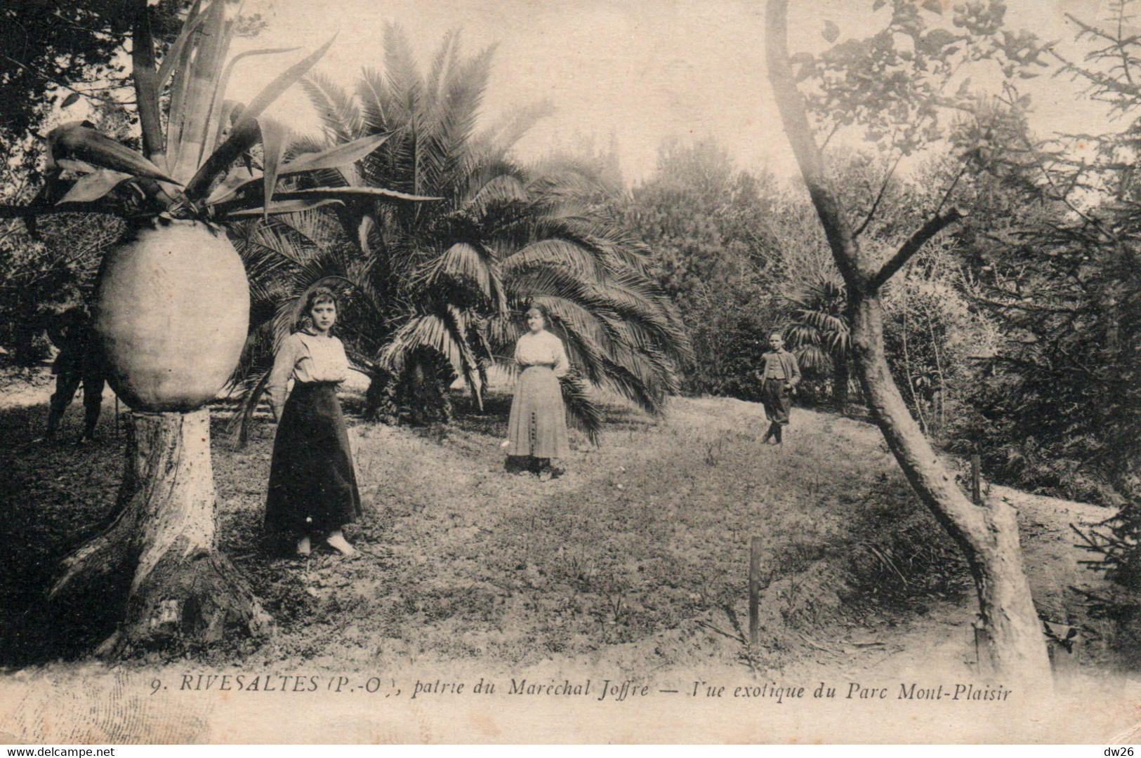 Pyrénées Orientales - Rivesaltes, Patrie Du Maréchal Joffre - Vue Exotique Du Parc Mont-Plaisir - Carte N° 9 - Rivesaltes