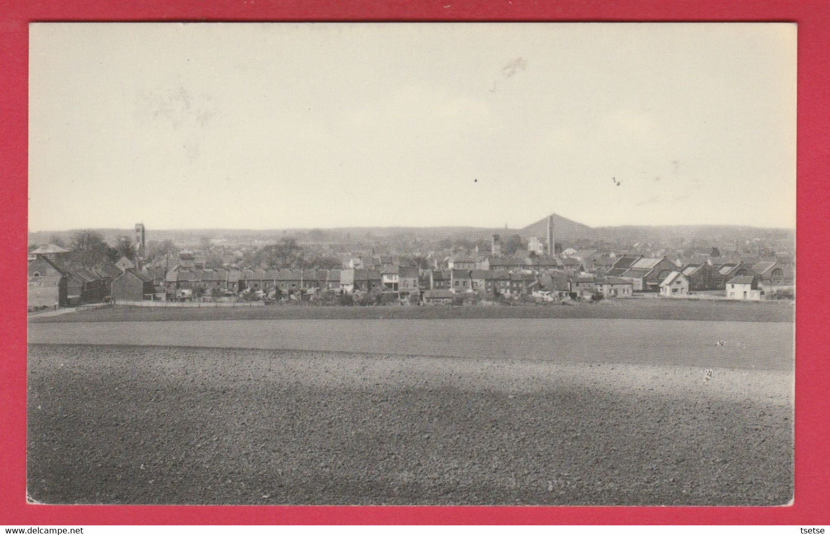 Quaregnon -  Joli Panorama De La Commune ... Terril  ( Voir Verso ) - Quaregnon