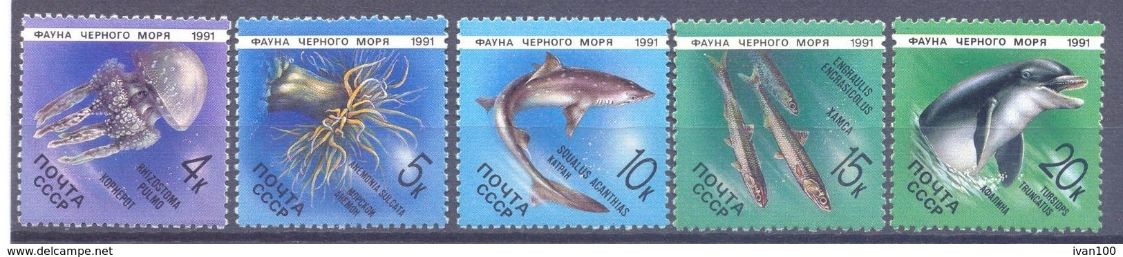 1991. USSR/Russia, Marine Life Of Black Sea, 5v, Mint/** - Neufs