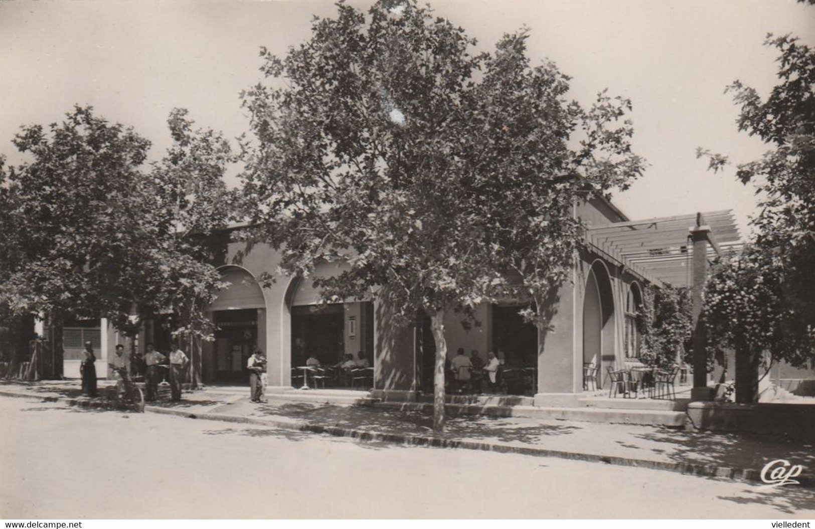 IFRANE (Maroc) - Hôtel Félix - Cpsm  Vierge - Bon état - 2 Scans - Other & Unclassified