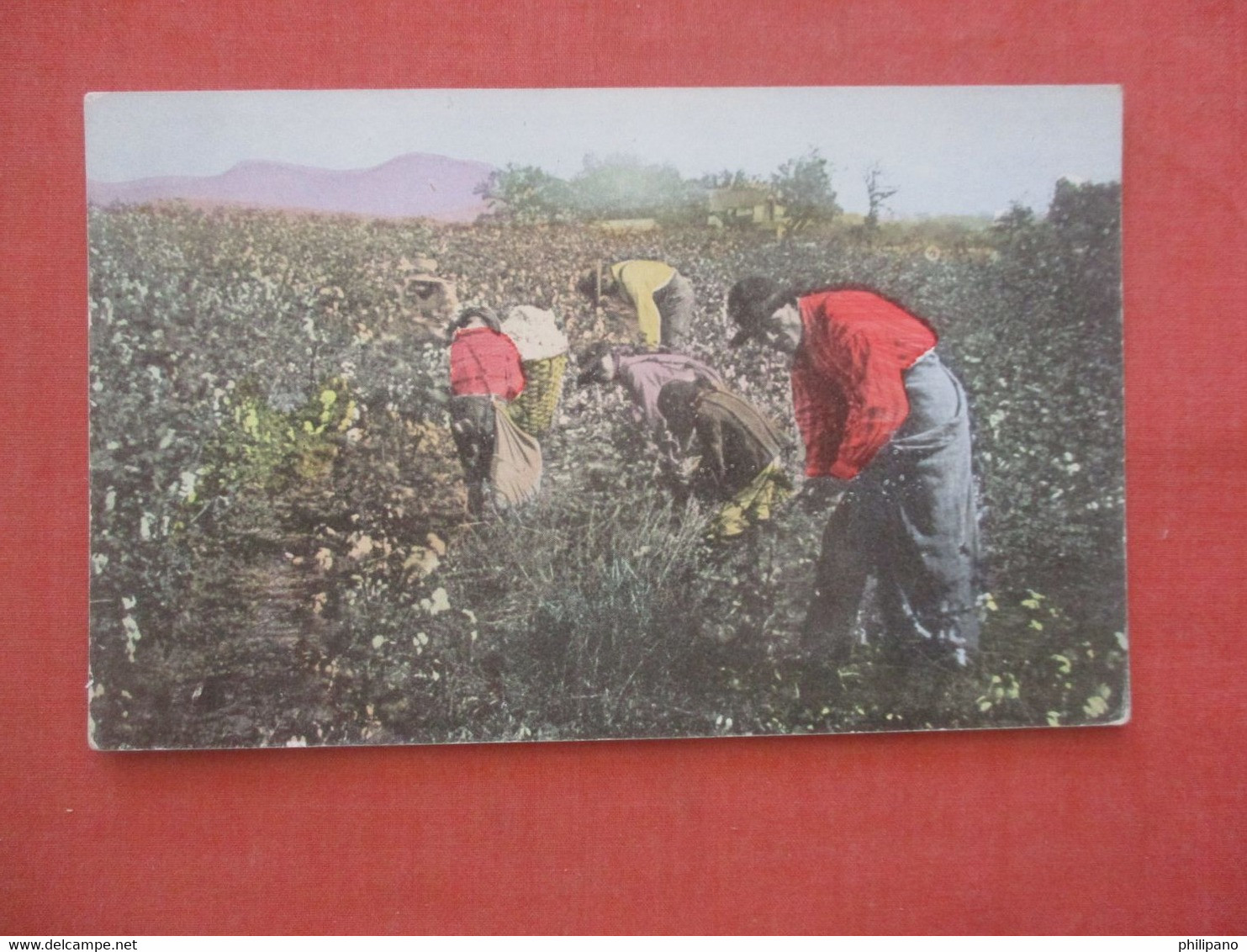 Black Americana   Picking Cotton In Alabama       Ref 4650 - Black Americana
