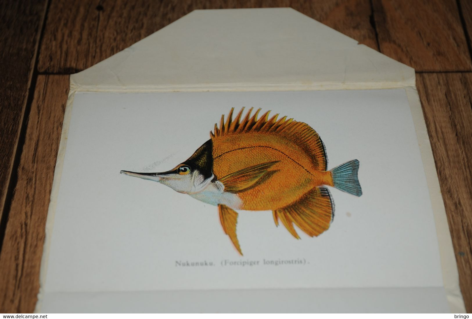 USA  HAWAII - Fishes Of Hawaii - Aquarium - Leporello - Booklet - Sonstige & Ohne Zuordnung