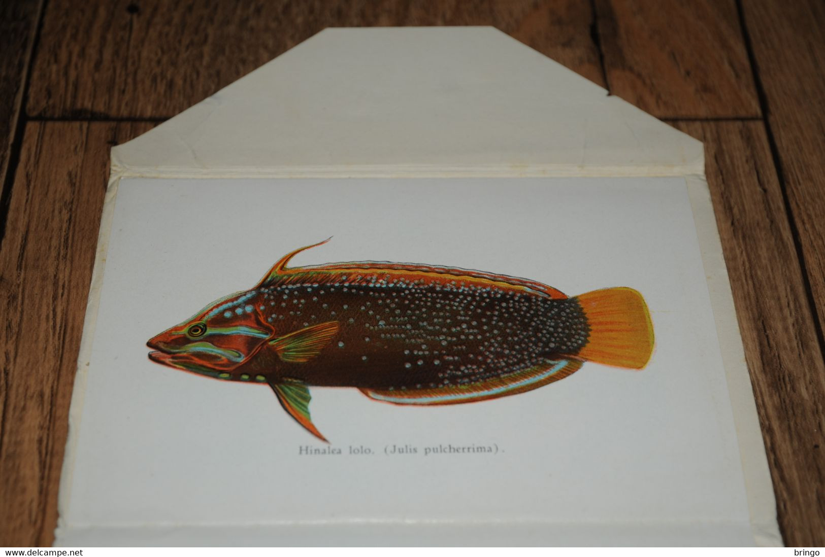 USA  HAWAII - Fishes of Hawaii - Aquarium - leporello - booklet