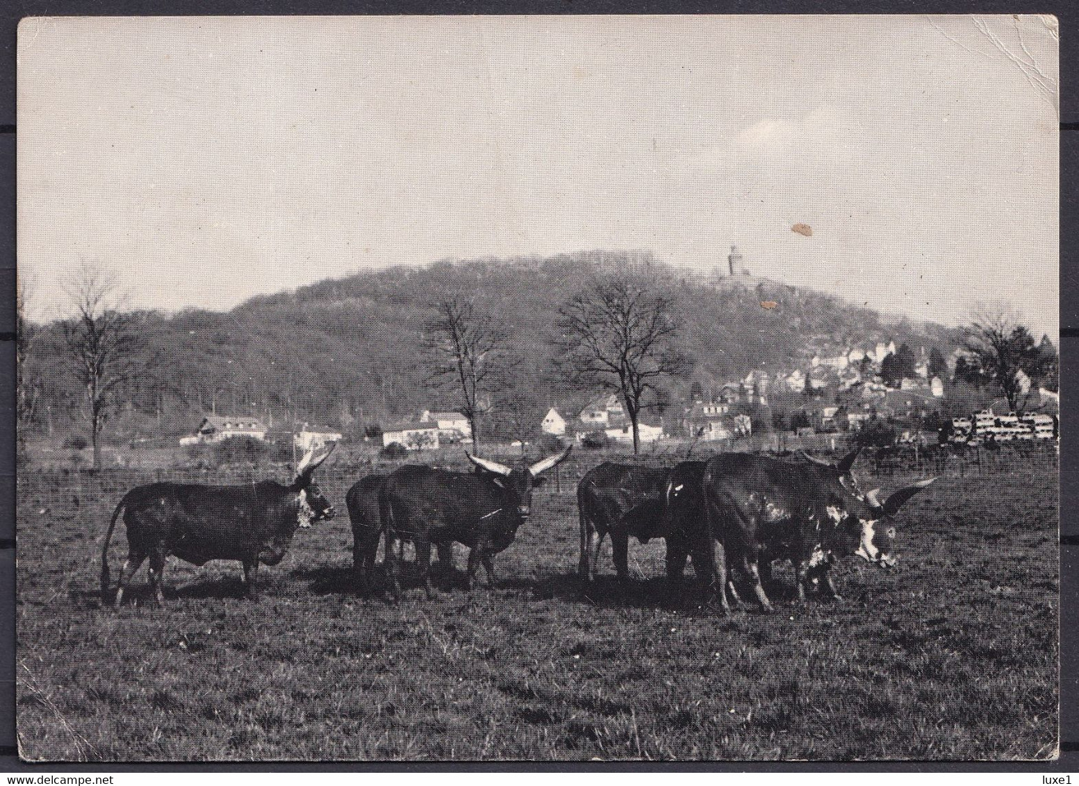 GERMANY  , Kronberg Im Taunus  ,  OLD  POSTCARD - Kronberg