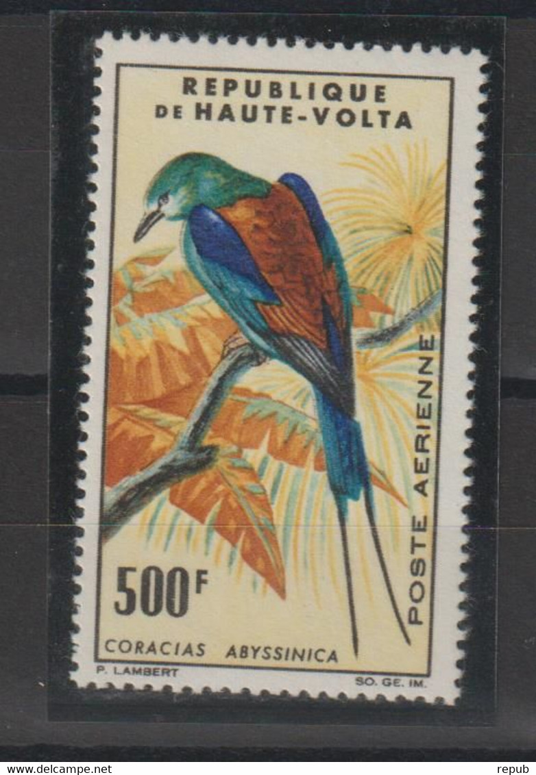 Haute Volta 1965 Oiseaux PA 20 1 Val ** MNH - Opper-Volta (1958-1984)