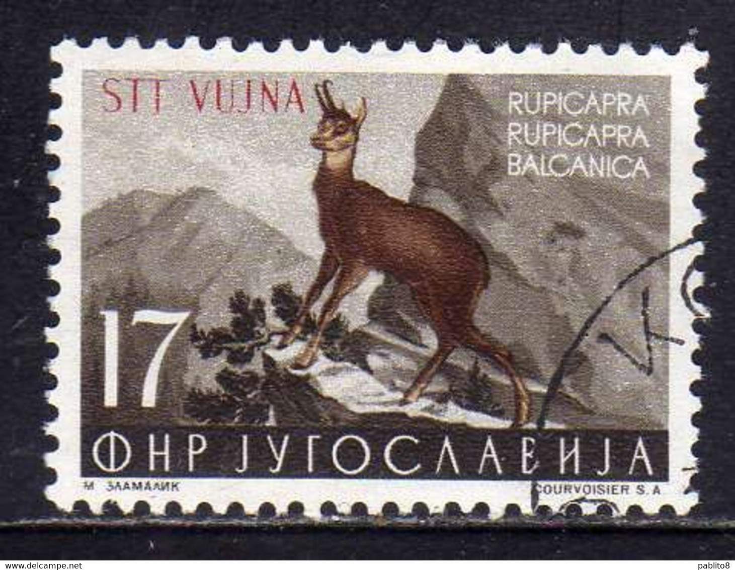 TRIESTE B 1954 FAUNA ANIMALS ANIMALI ANIMAUX GOAT RUPICAPRA 17d USATO USED OBLITERE' - Usati